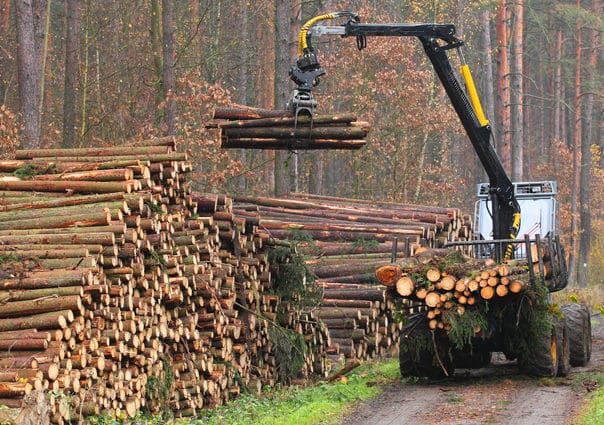 Noul SUMAL intră în vigoare în prima zi a lunii noiembrie