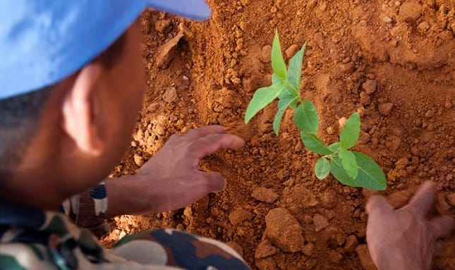 6 noiembrie – Ziua internațională pentru prevenirea exploatării mediului în timpul războaielor și conflictelor armate