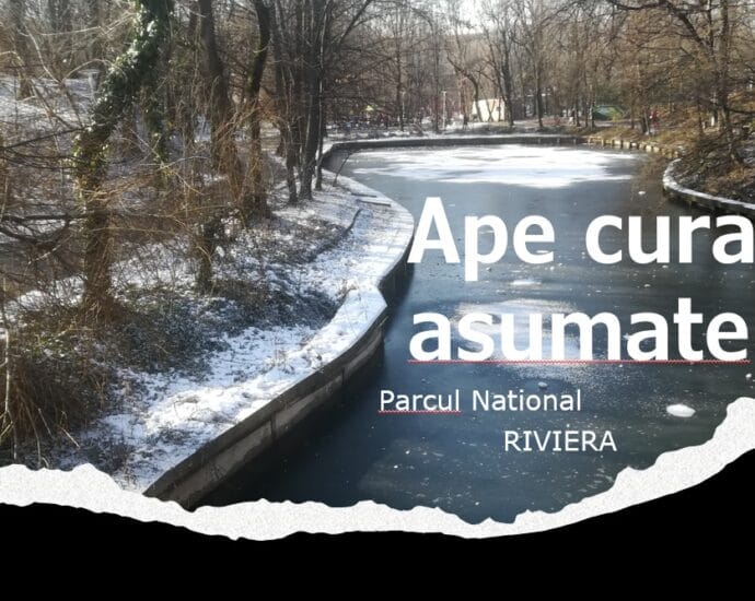 “Ape curate asumate” – ianuarie in Parcul National Riviera, Bucuresti