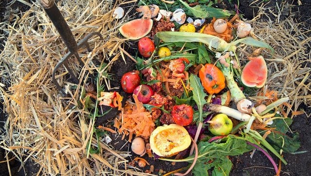Din 1 februarie 2021, toţi orădenii vor colecta separat biodeşeurile