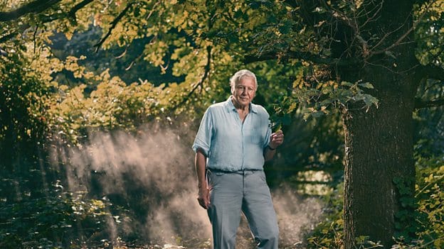 David Attenborough: Acesta poate fi un an al schimbării pozitive pentru criza climatică
