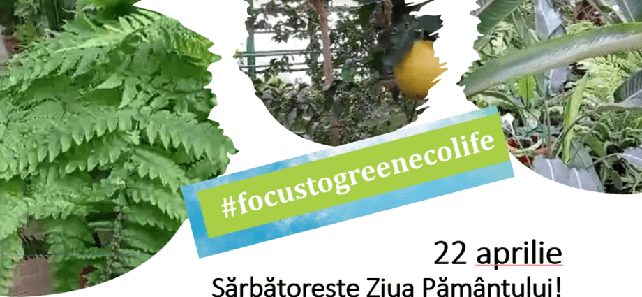 22 aprilie -“Focus to Green-Eco-life” Sărbătorește Ziua Pământului!