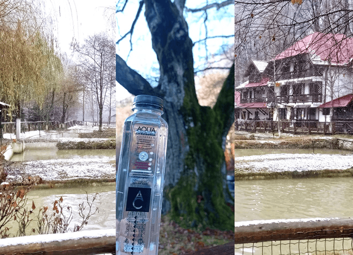 Bucuria verde cu #focustogreenecolife de Ziua Internationala a Voluntariatului