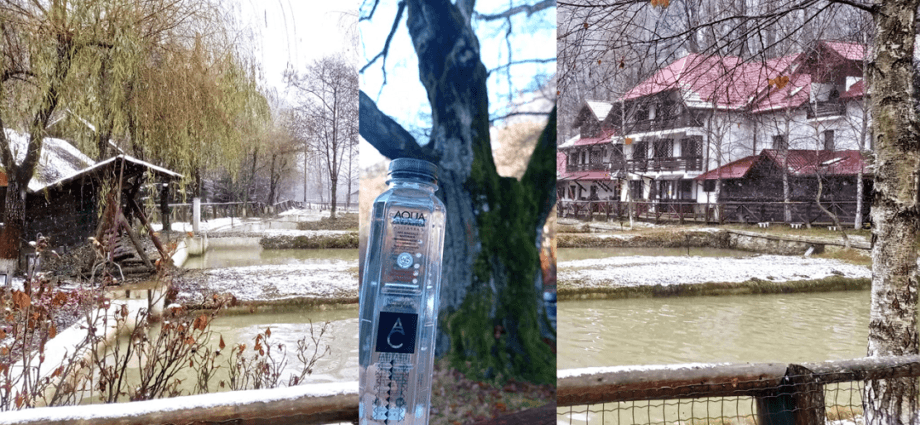 Bucuria verde cu #focustogreenecolife de Ziua Internationala a Voluntariatului