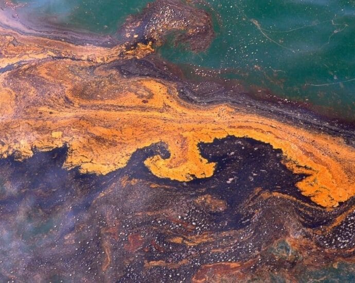 Dizolvarea uleiului într-o mare luminată de soare