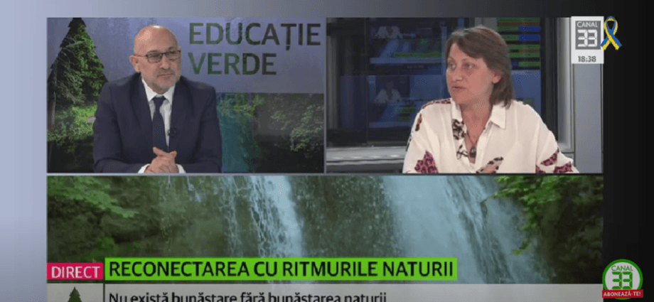 Cum ne reconectam cu natura prin educatie verde si remedii florale