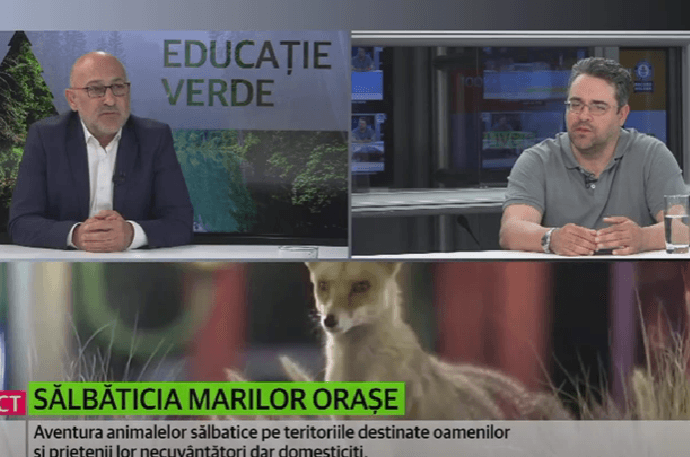 Educație verde – sălbăticia marilor orașe