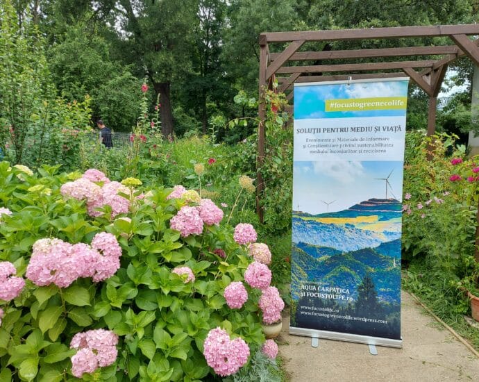 Ne hidratam corect corpul si bucuria. #focustogreenecolife la galop