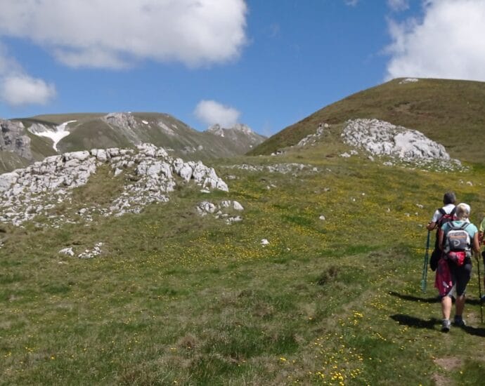 Recomandari si VACANTE exact pe gustul tau