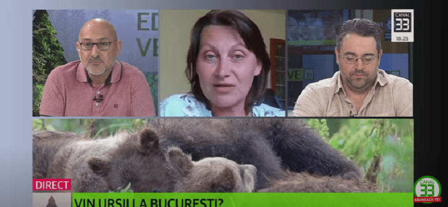 Educație verde –  „Vin urșii la București? ” 