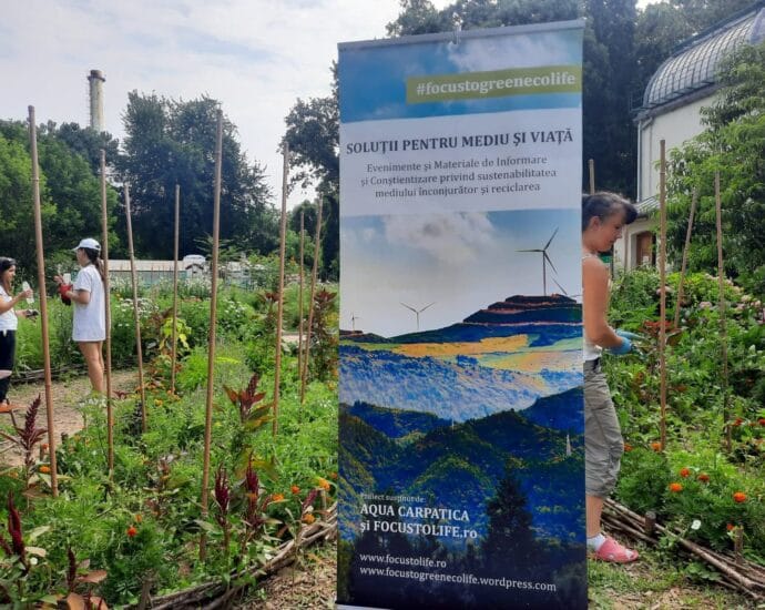 Sămȃnţa #focustogreenecolife are nevoie de apă pentru a prinde viaţă