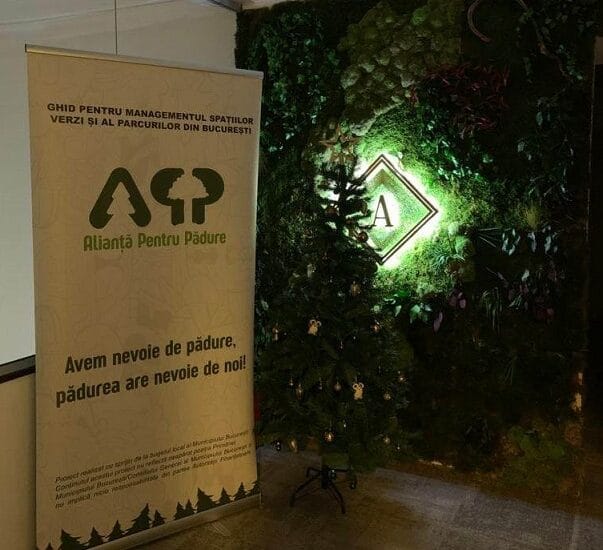 Ghid pentru managementul spațiilor verzi din București