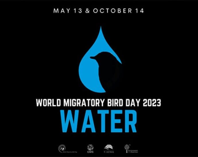 “Ziua Mondială a Păsărilor Migratoare” are ca temă în 2023: Păsările migratoare şi APA!