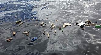 Cum ne ajută AI să detectăm plasticul din oceane?