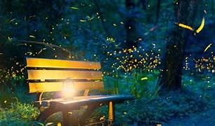 Festival al Licuricilor. Frumusețea naturii și cultura locală în Oltenia