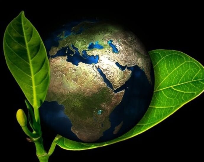 Pași pentru a fi mai grijuliu cu mediul înconjurător. Ce poți face chiar de mâine