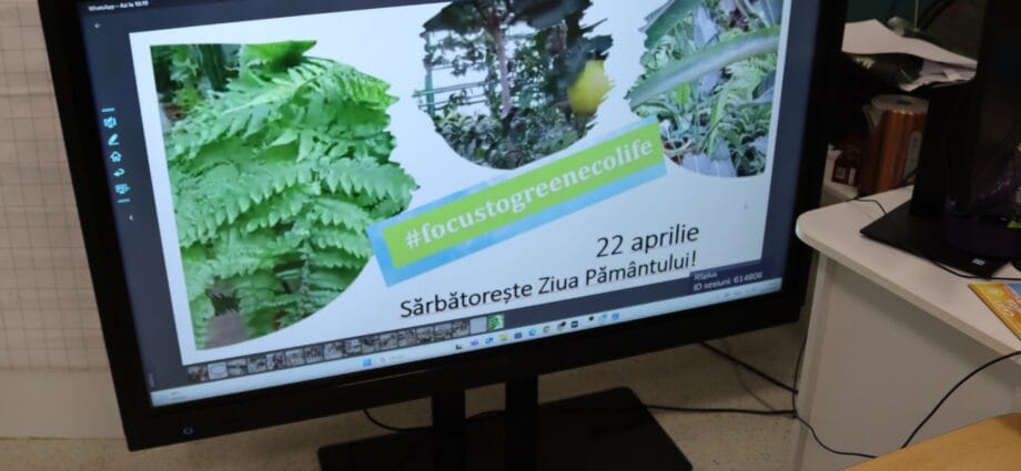 Să ai grijă de mediu este mai uşor decȃt crezi! La Focus to green eco life, de Ziua Pământului 2025 – „Puterea noastră, Planeta noastră”