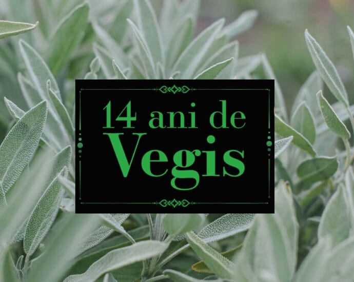 Despre beneficiile salviei Despre beneficiile salviei