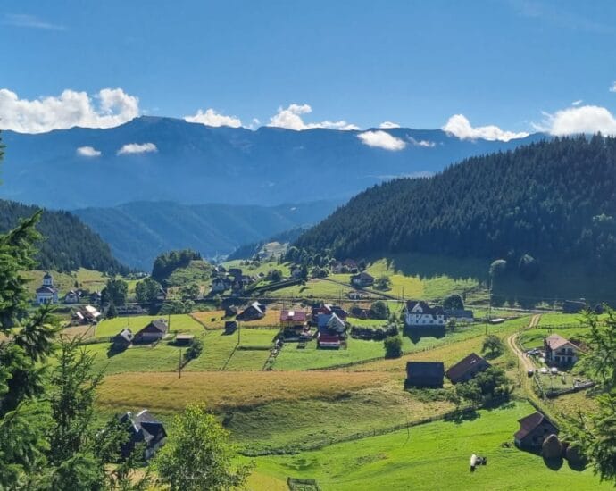 Ziua Globală a Rezilienței Turismului,17 februarie Ziua Globală a Rezilienței Turismului,17 februarie