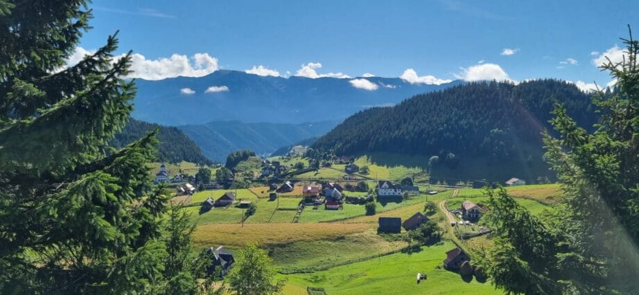 Ziua Globală a Rezilienței Turismului,17 februarie Ziua Globală a Rezilienței Turismului,17 februarie